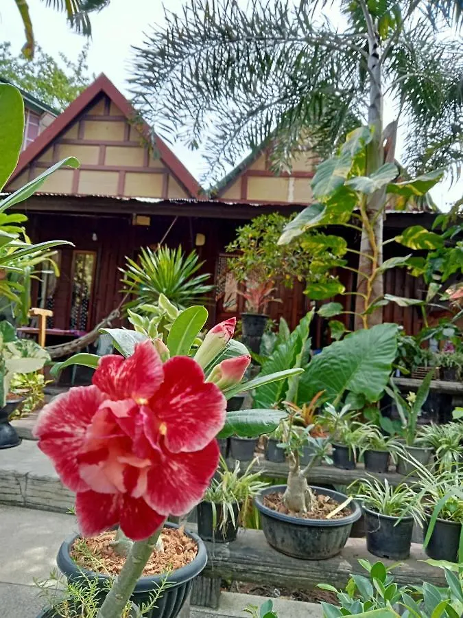 P P Garden Home Bungalow Phi Phi Islands Hotel