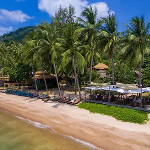 Resort Palm Leaf
